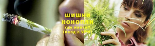 соль ск Вязьма