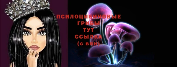 соль ск Вязьма