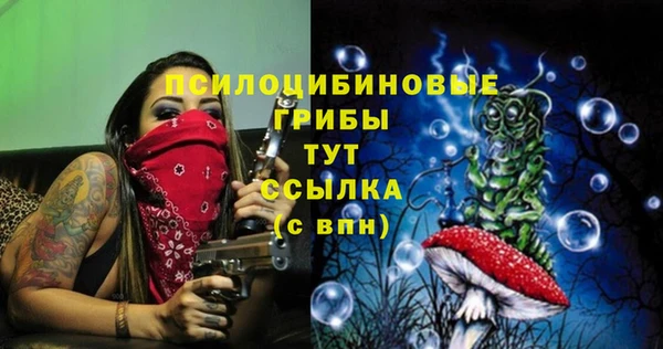 соль ск Вязьма