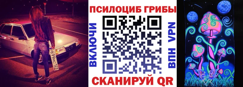где можно купить наркотик  Чита  Псилоцибиновые грибы MAGIC MUSHROOMS 